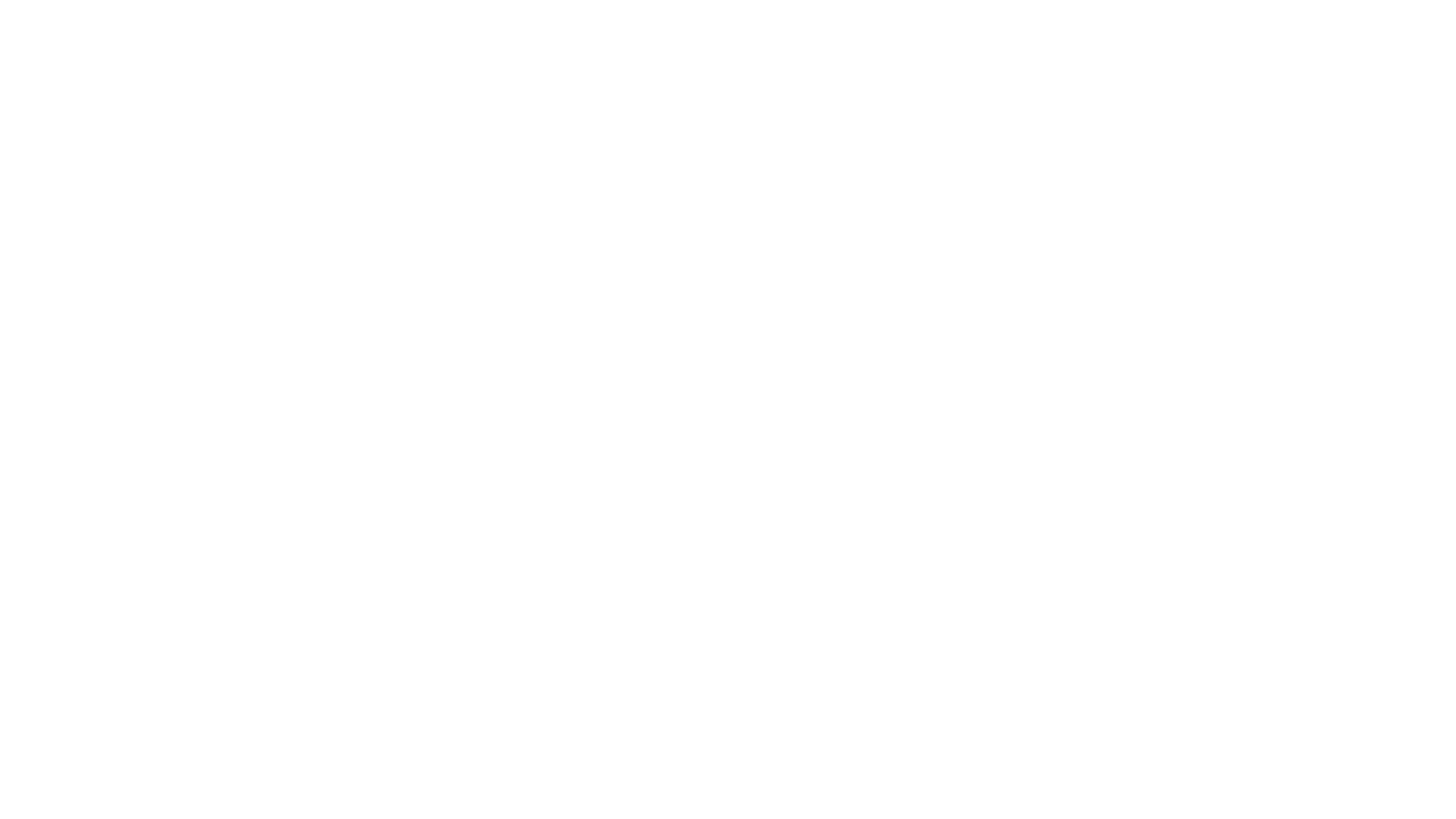 SemiNuevos Logo